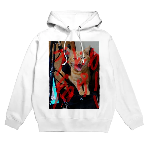 天にも届け！このニャ～を！！ Hoodie