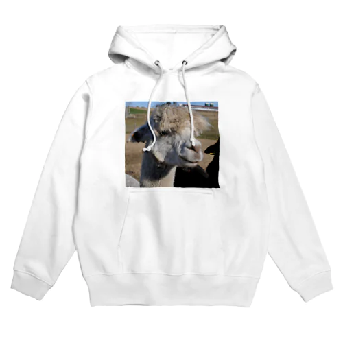 ラクダカラー Hoodie