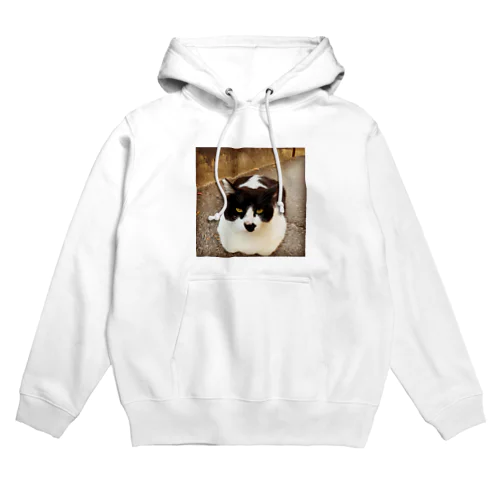 猫ちゃん Hoodie