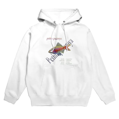 オデッサバルブ１ Hoodie