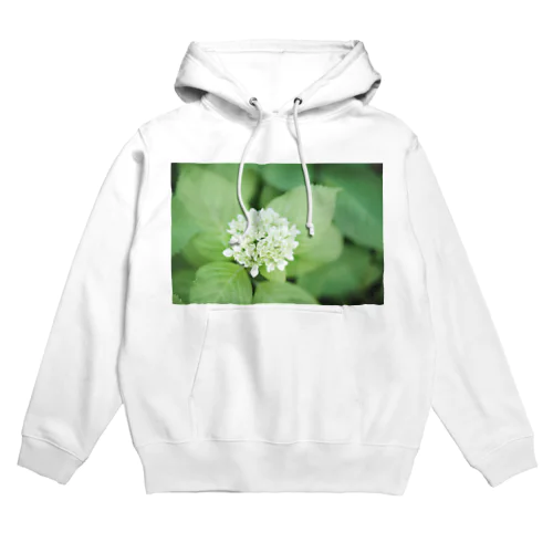 紫陽花はじめ Hoodie