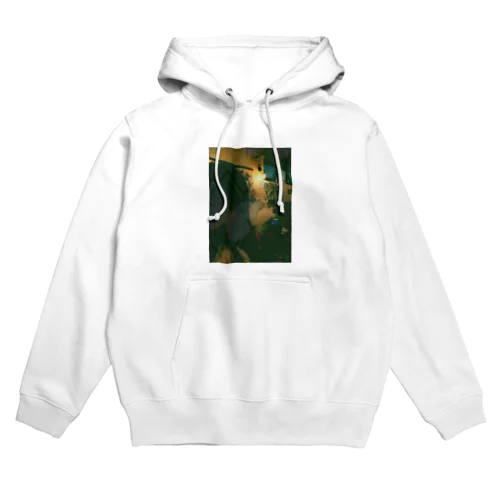 C5H4NC4H7NCH3 Hoodie