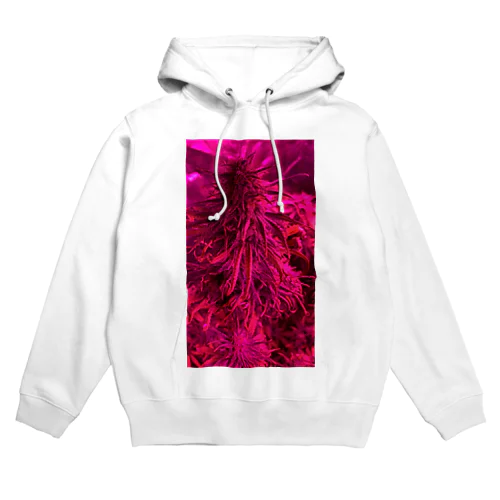 glow LIFE Hoodie