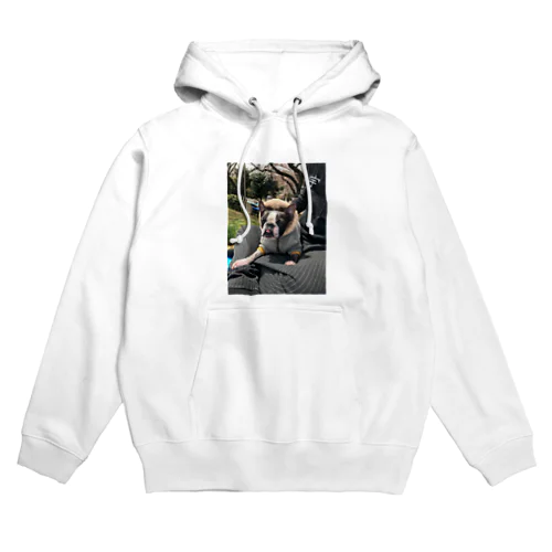 ボステリペロペロ Hoodie