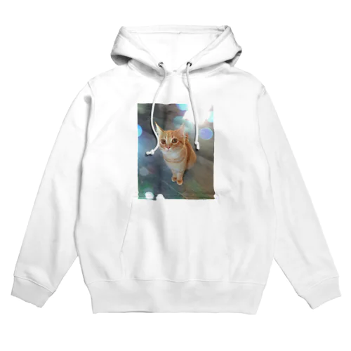 てんちゃん。 Hoodie