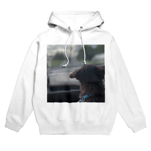 My Pets Hoodie