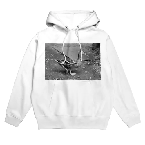 JAKE Hoodie