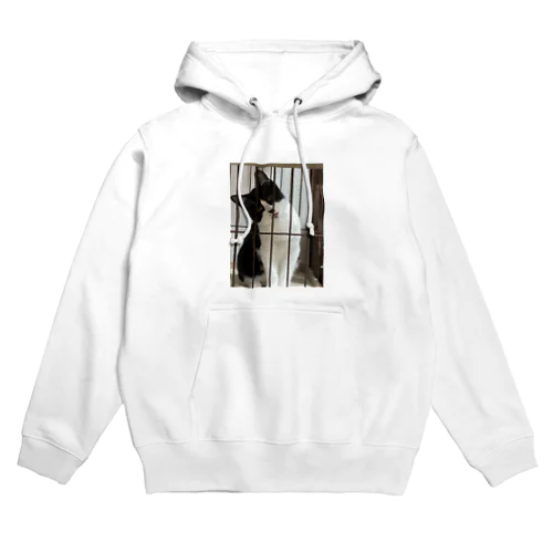 いじわる猫 Hoodie