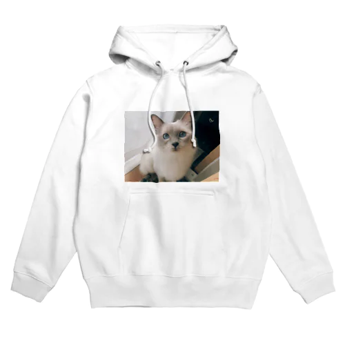 かわいこちゃん Hoodie