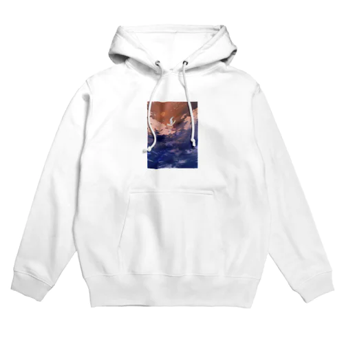 somu Hoodie