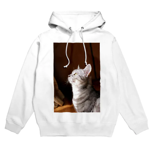 実家の猫０１ Hoodie