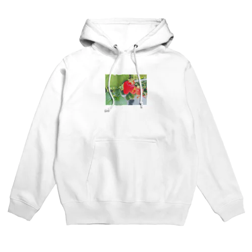 ストロベリーちゃん Hoodie