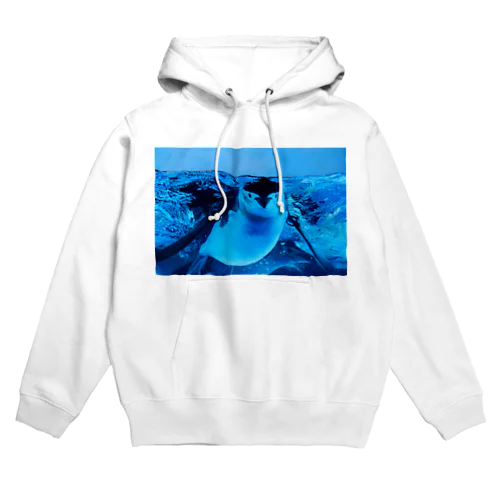 ヒゲペンギン　写真　リアル Hoodie