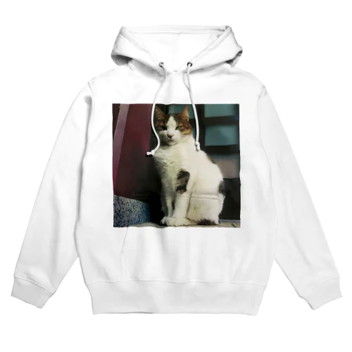 チラッと猫 Hoodie