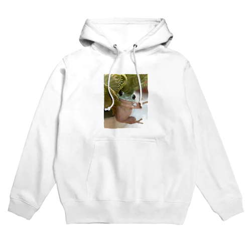 イエアメガエルのぽるしち Hoodie