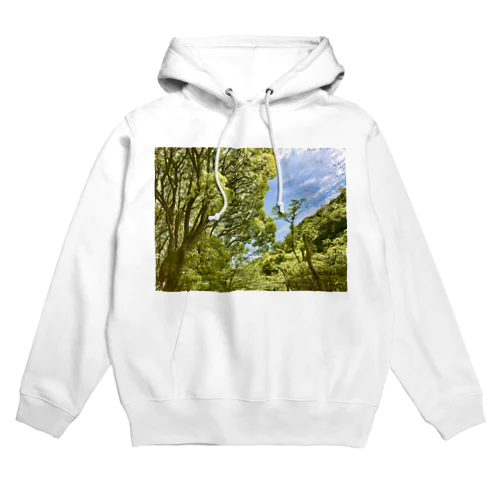 シャボン玉を探せ Hoodie