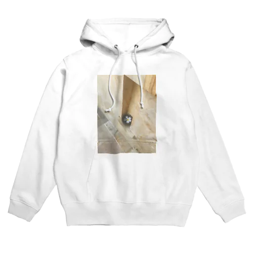 リゾート地に行きたい Hoodie