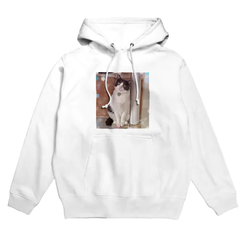 福猫グレちゃん Hoodie