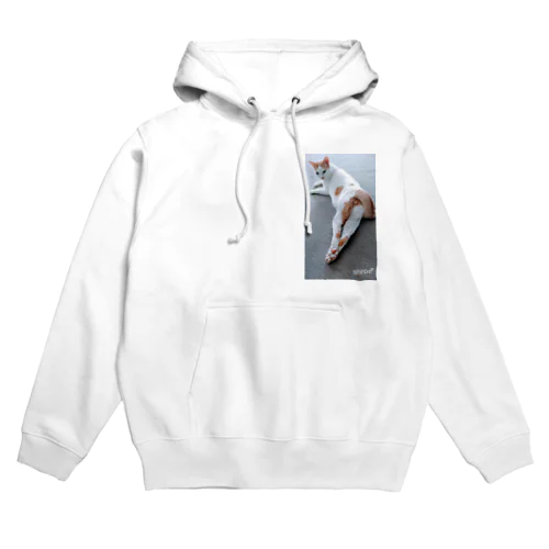 グラビアデビュー　しろちゃん Hoodie