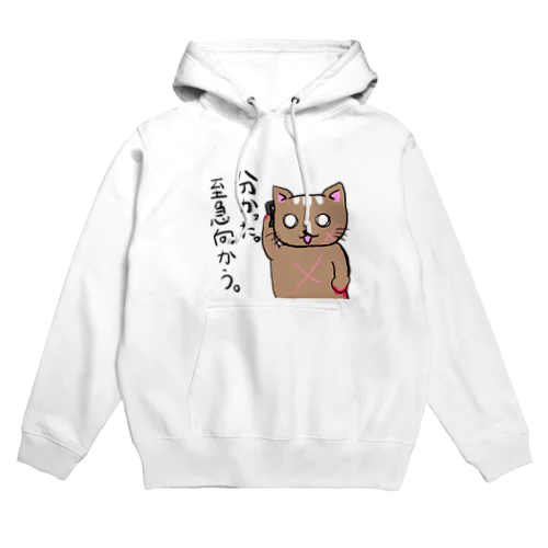 野良猫歴3年ヤシチの生き様　5 Hoodie