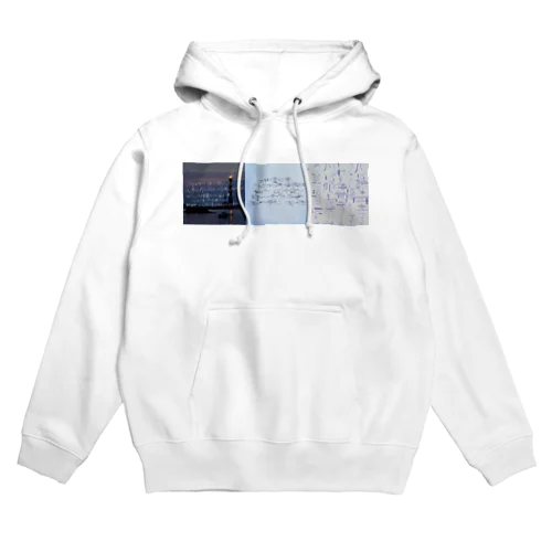 ao Hoodie