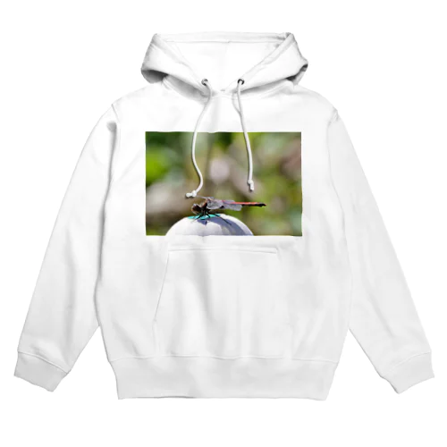 トンボの一休み Hoodie