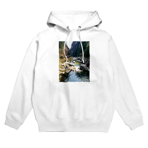 Rivers and waterfalls of nature Hoodie