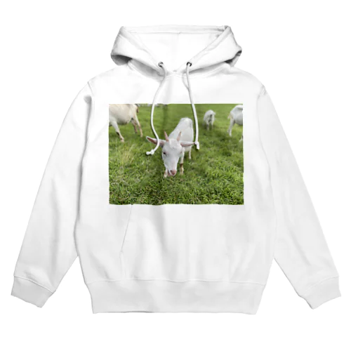 goat Hoodie