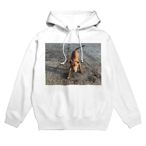 アメリカンピットブルテリア Hoodie