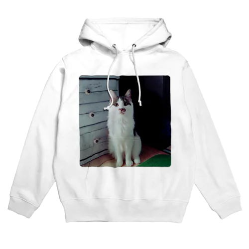 シュシュ様 Hoodie