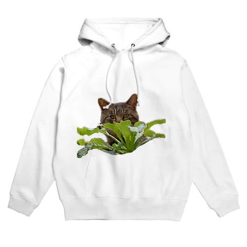 かくれてるねこ Hoodie