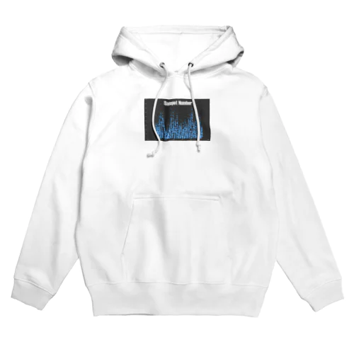 SunspotNumber LOGO Hoodie