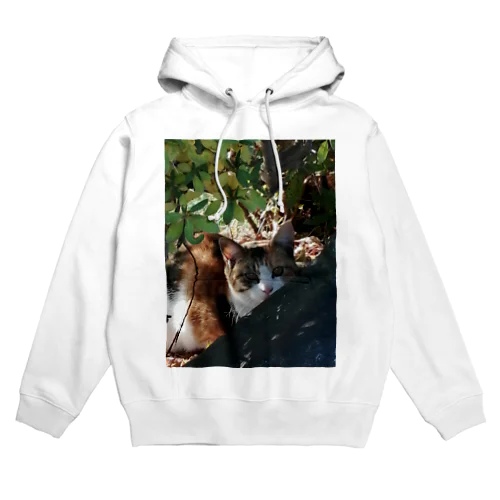 三毛猫グッズ Hoodie