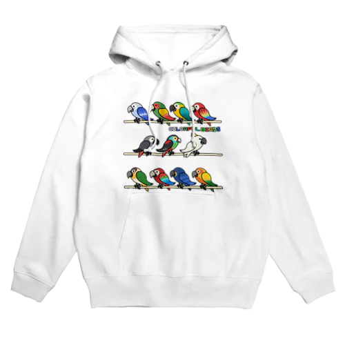 COLORFUL BIRDS Hoodie