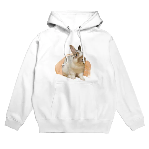 お兄さんに通せんぼされてるウサギ Hoodie