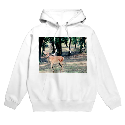 奈良の鹿ちゃん🦌 Hoodie