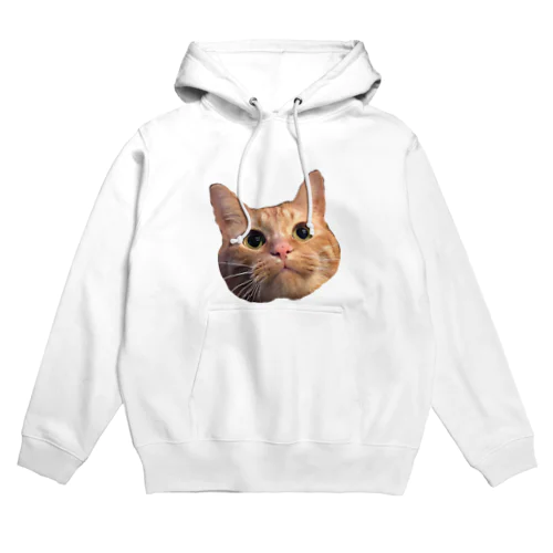 ビビり猫キンちゃん Hoodie