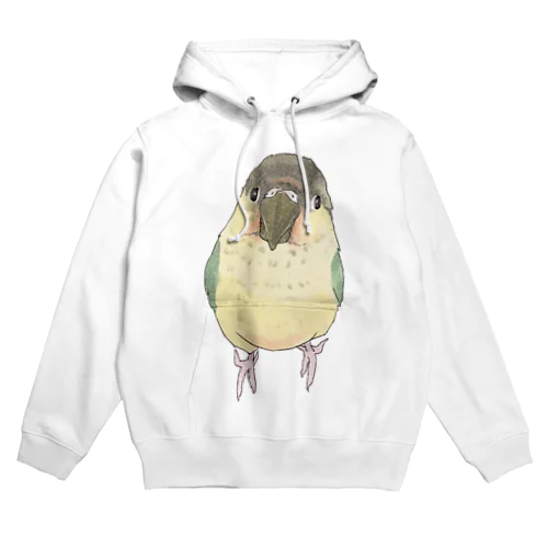 可愛いウロコメキシコインコちゃん【まめるりはことり】 Hoodie