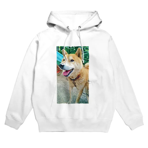 柴犬ライチ⑤ Hoodie