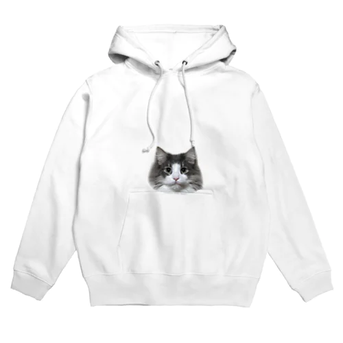 Timmy the cat Hoodie