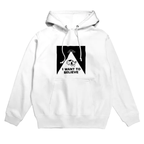 極光金魚展（さらわれるやつ） Hoodie