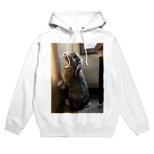 たちおにぎり Hoodie