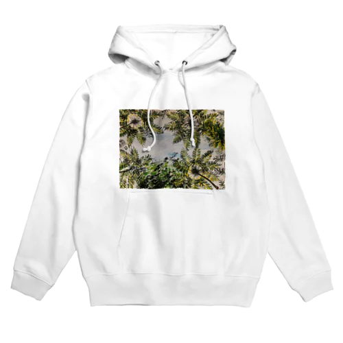 奄美のジャングル Hoodie