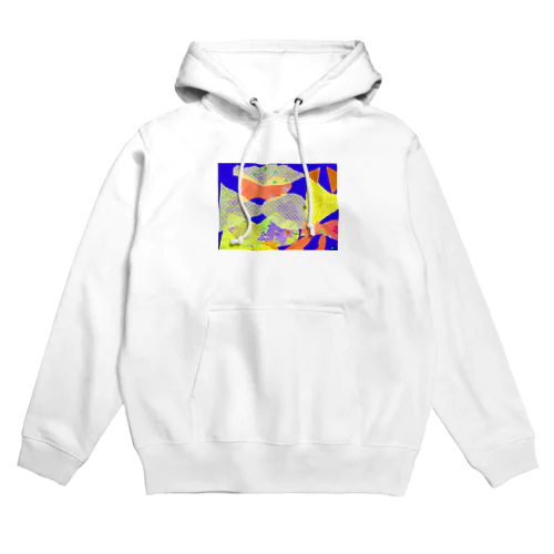 a Hoodie