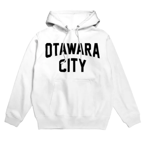 大田原市 OTAWARA CITY パーカー