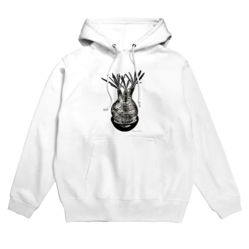 Pachypodium Gracilius Hoodie