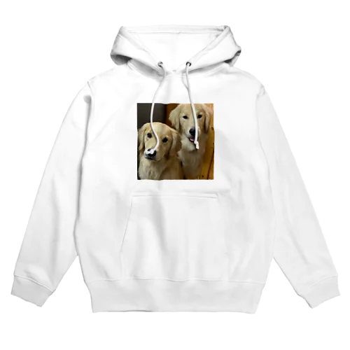 Golden Retriever Sarah&Taro3 Hoodie