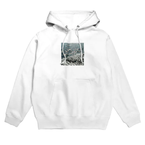 memory of koudu Hoodie