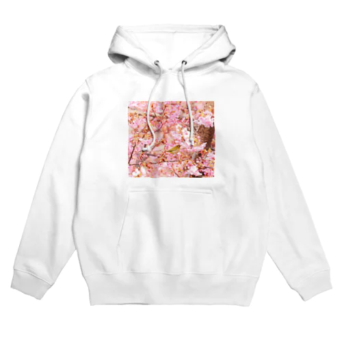 めじろとさくら（その１） Hoodie