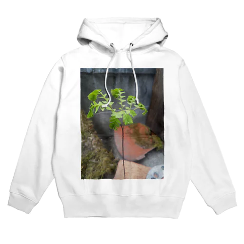 クジャクシダ Hoodie